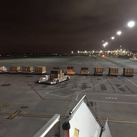 Airport tarmac operations at night showing wildlife transport crates ready for loading